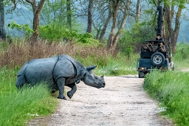 Kaziranga Meghalaya Wildlife Tour